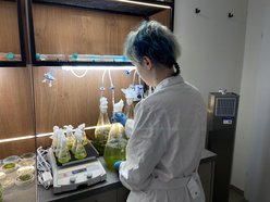 Łódź. Bioreaktor na Politechnice Łódzkiej. Czy mikroglony z rzek i stawów w Łodzi uratują nasze powietrze?