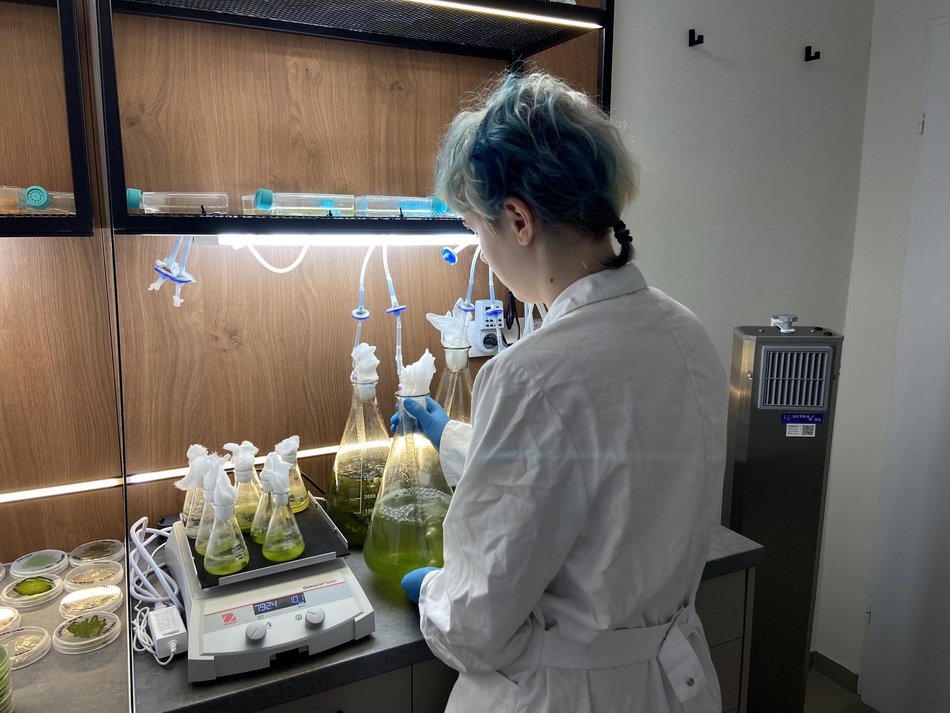 Łódź. Bioreaktor na Politechnice Łódzkiej. Czy mikroglony z rzek i stawów w Łodzi uratują nasze powietrze?