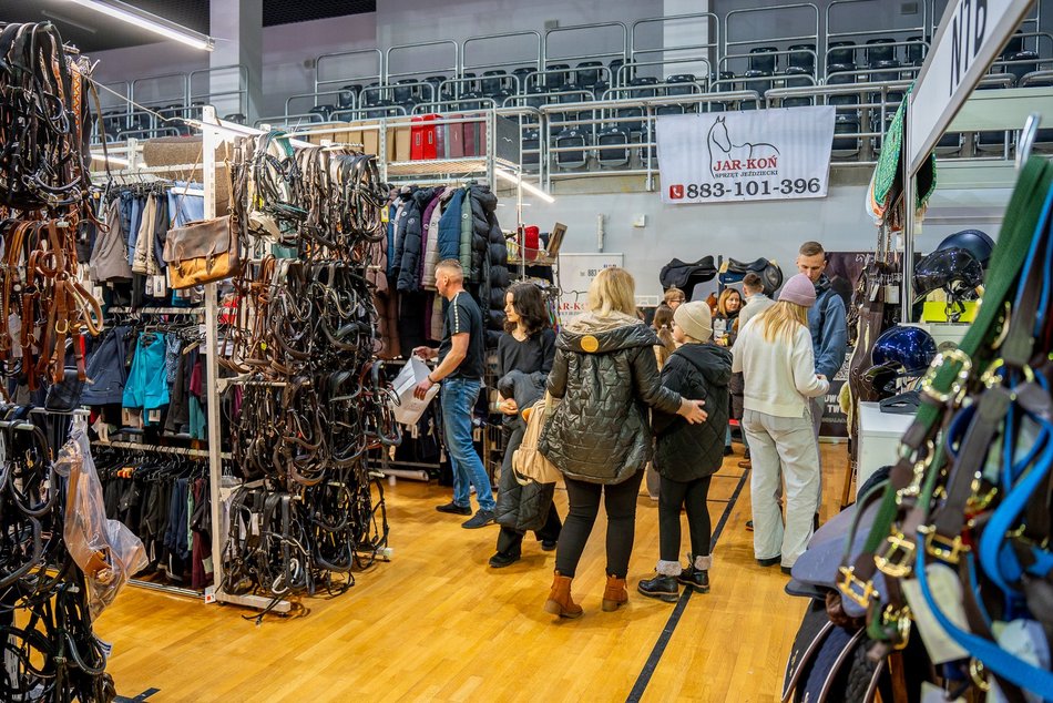 Łódź. Cavaliada Tour w Atlas Arenie w Łodzi wystartowała! Zobacz zdjęcia z pierwszego dnia zmagań