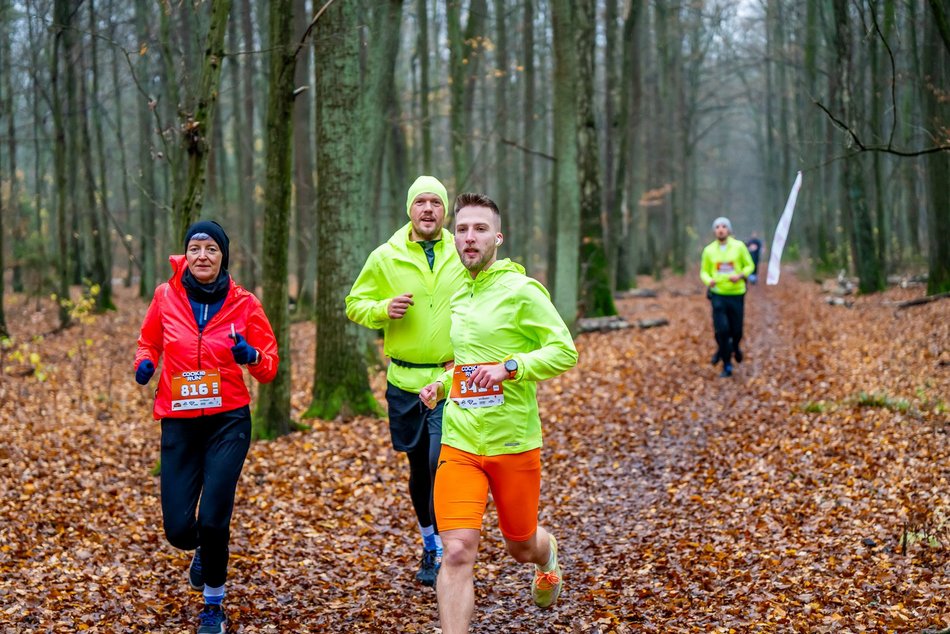 Cookie Run w Lesie Łagiewnickim w Łodzi