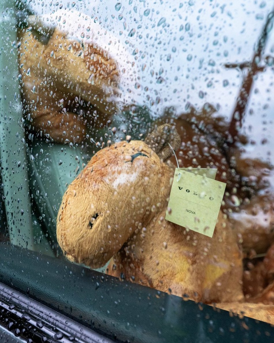 Łódź. Zlot Fanów Kapibary w Orientarium Zoo Łódź. Świetna frekwencja mimo niepogody