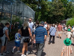 Łódź. Złap słońce i witaminę D w Orientarium Zoo Łódź. Wiosenny weekend z masą atrakcji