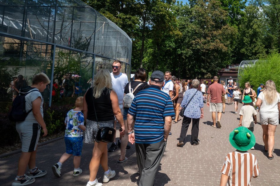 Łódź. Złap słońce i witaminę D w Orientarium Zoo Łódź. Wiosenny weekend z masą atrakcji