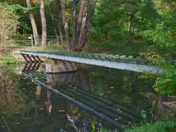 Będzie nowa kładka w parku Julianowskim w Łodzi. Remont już się rozpoczął