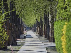 Łódź. Różyckiego w Łodzi otwarta dla ruchu. Nowa jezdnia, przebicie do Politechniki i chodniki