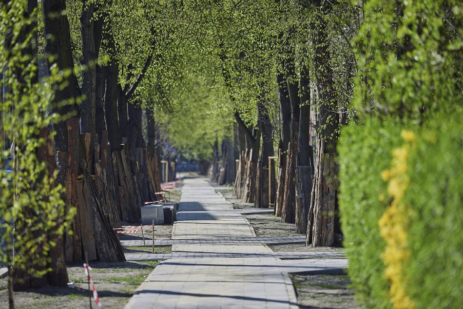 Łódź. Różyckiego w Łodzi otwarta dla ruchu. Nowa jezdnia, przebicie do Politechniki i chodniki