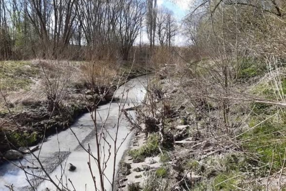 Biała substancja w rzece Olechówce. Sprawca został zatrzymany, zapłaci karę!