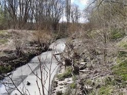 Biała substancja w rzece Olechówce. Sprawca został zatrzymany, zapłaci karę!