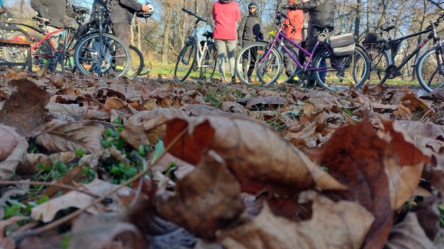 Wycieczka rowerowa z Zieloną Łodzią. Spal kalorie i dowiedz się wielu ciekawostek 