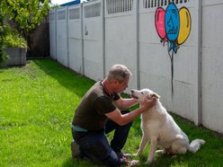Rekordowa liczba adopcji psów ze Schroniska w Łodzi