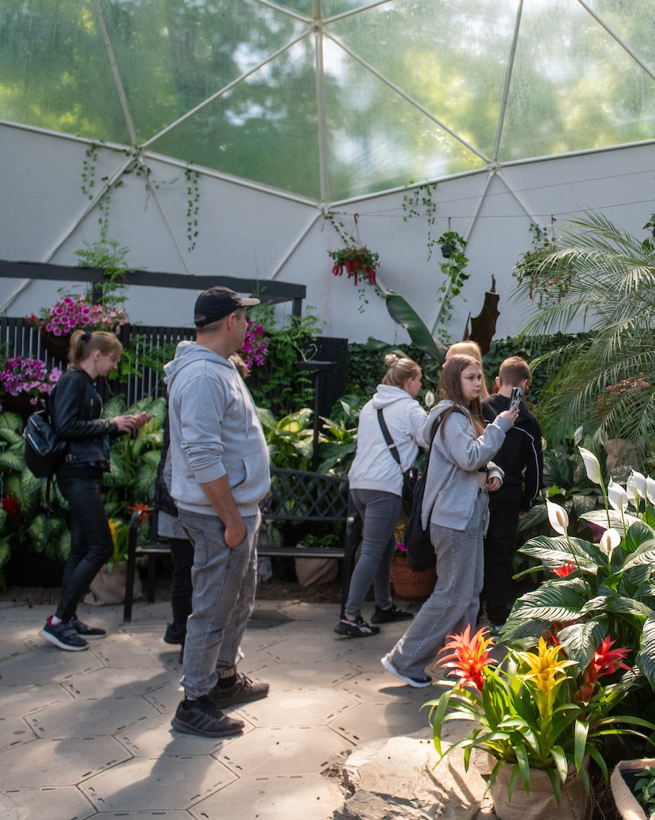 Łódź. Motylarnia w Orientarium Zoo Łódź już otwarta! Zobacz najpiękniejsze motyle świata