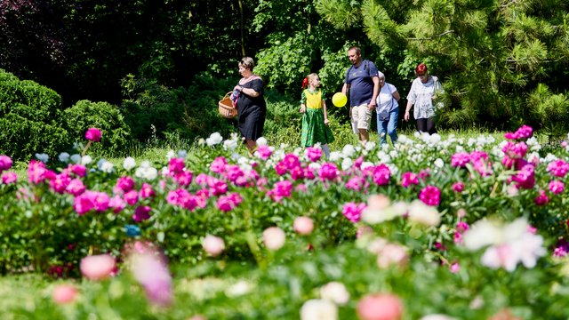 Ogród Botaniczny w Łodzi zaprasza na poszukiwanie mitycznego kwiatu
