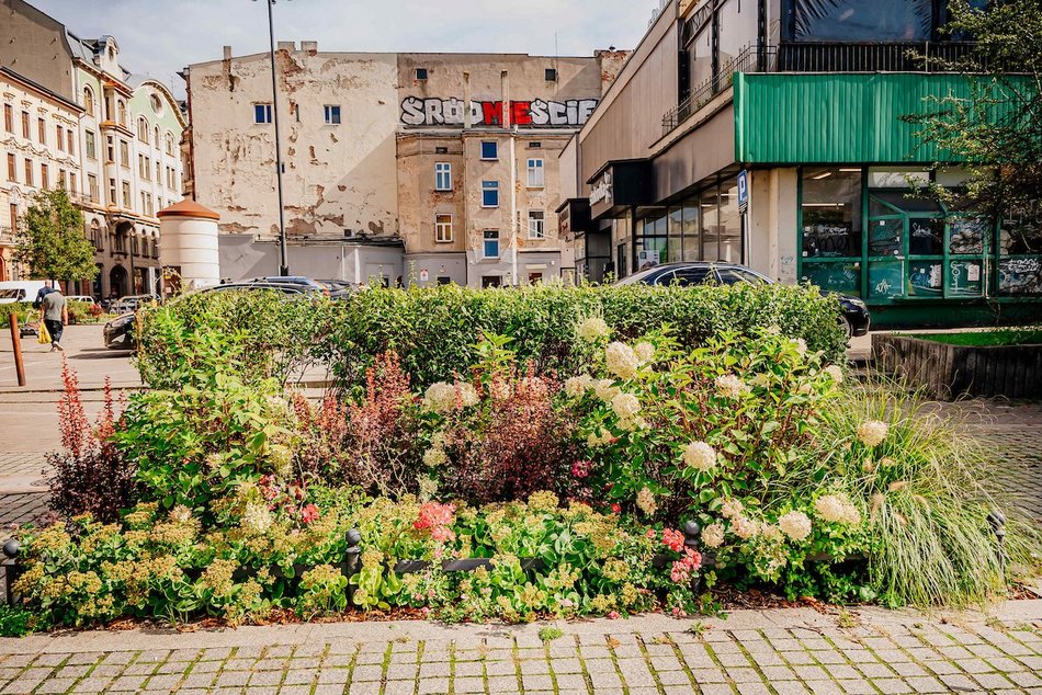 Łódź. Wrzesień w Łodzi potrafi zaskoczyć! Miasto wciąż tętni kolorami i zapachem kwiatów