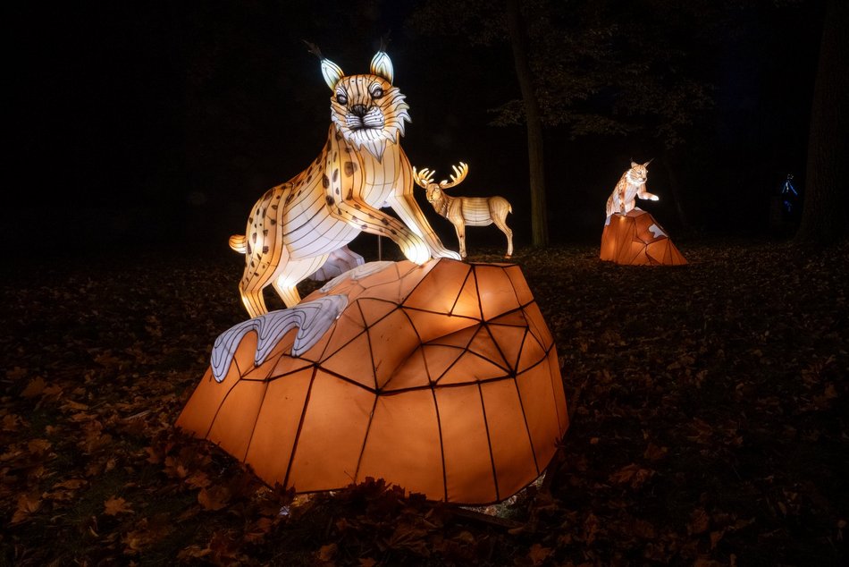 Park Miliona Świateł w Łodzi otwarty! Magiczne zwierzęta opanowały Orientarium Zoo Łódź
