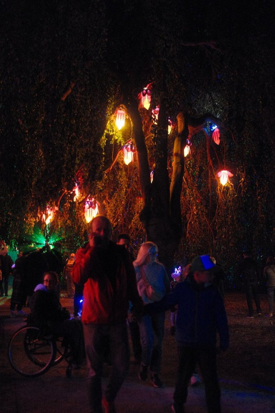 Byliście już w parku Sienkiewicza? Bajkowy świat Light Move Festival 2025 Łódź [ZDJĘCIA]