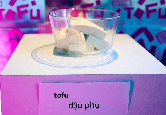 Dzień Tofu w Centrum Dialogu w Łodzi. Święto smaku, kultury i wspólnoty