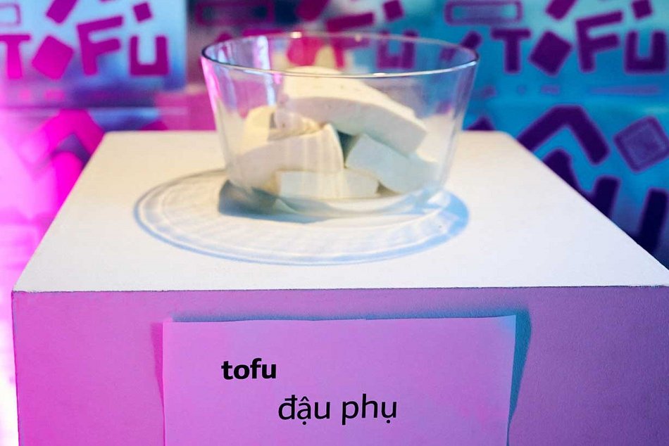 Dzień Tofu w Centrum Dialogu w Łodzi. Święto smaku, kultury i wspólnoty