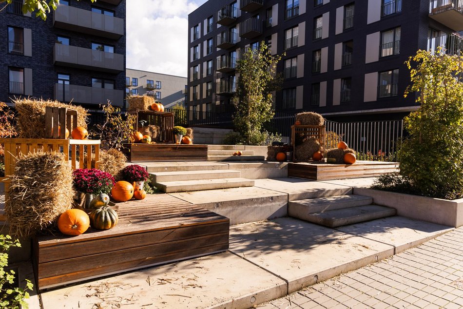 Łódź. Farma Dyń w Fuzji Łódź. Pozycja obowiązkowa na jesienną sesję fotograficzną! [ZDJĘCIA]