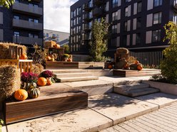 Łódź. Farma Dyń w Fuzji Łódź. Pozycja obowiązkowa na jesienną sesję fotograficzną! [ZDJĘCIA]