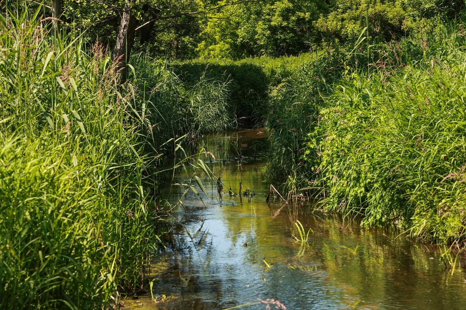 Nazwij park nad rzeką Ner w Łodzi