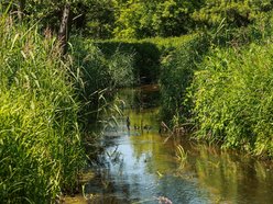 Nazwij park nad rzeką Ner w Łodzi