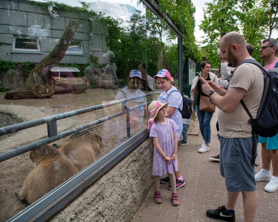 Łódź. Dzień Dziecka w Orientarium Zoo Łódź. Tylu atrakcji tam jeszcze nie było!