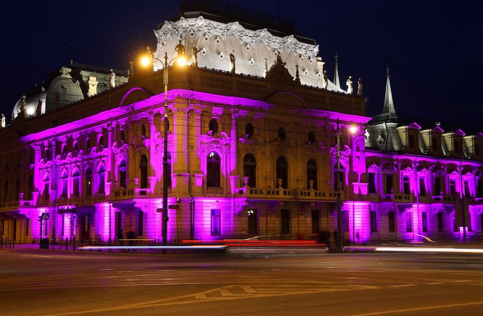 Łódź. Międzynarodowy Dzień Epilepsji w Łodzi. Pałac Poznańskich w lawendowych barwach