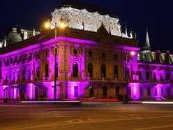 Łódź. Międzynarodowy Dzień Epilepsji w Łodzi. Pałac Poznańskich w lawendowych barwach