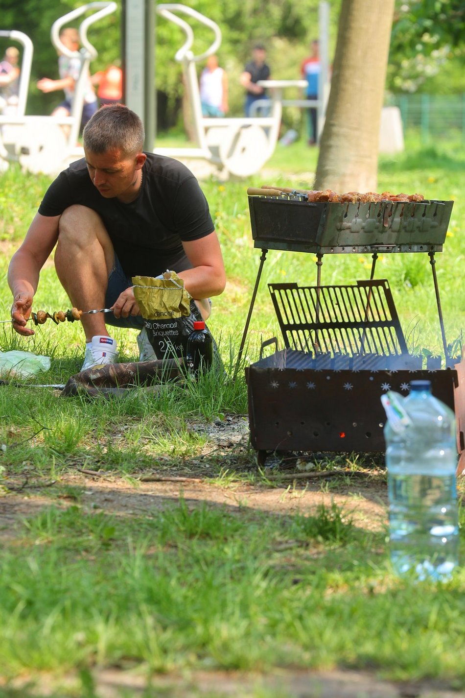 Łódź. Piknik na Młynku w Łodzi. Dmuchańce, alpaki, gigantyczne kręgle i rowery wodne