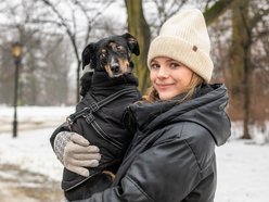 Psiak Bond czekał na dom w schronisku w Łodzi 8 lat