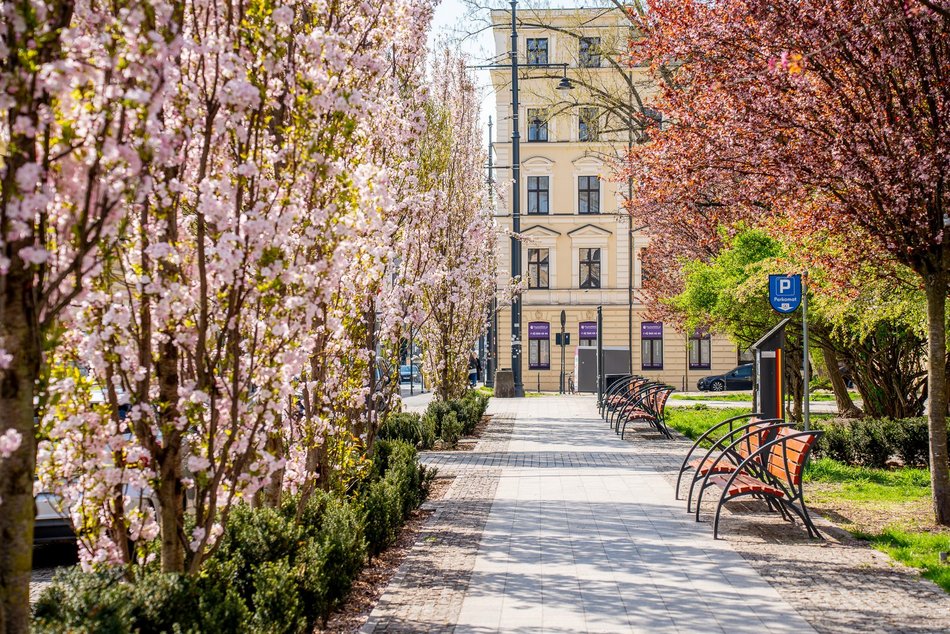 Łódź. Parki i skwery w Łodzi po rewitalizacji. Zielone oazy w centrum miasta