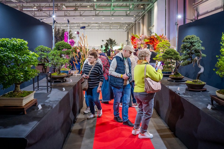 Łódź. World Flower Show w hali Expo Łódź. Przyjdź i zobacz orchidee, drzewa bonsai i sukulenty