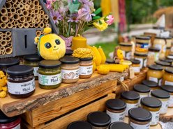 Łódź. Lipcowy targ staroci na Księżym Młynie. Miłośnicy rzeczy z duszą nie zawiedli