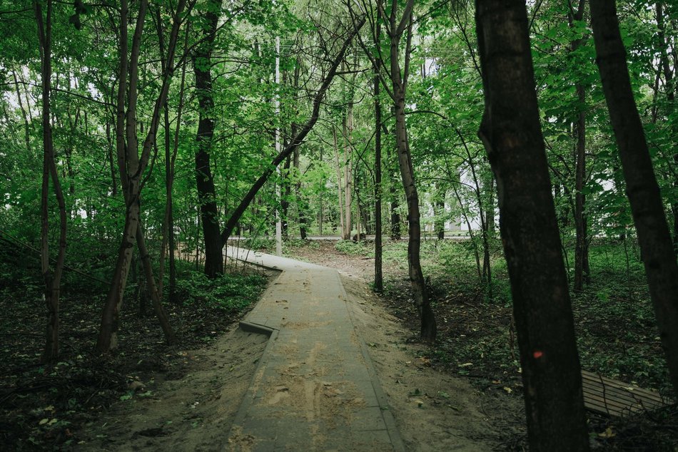Projekty Budżetu Obywatelskiego Łódź