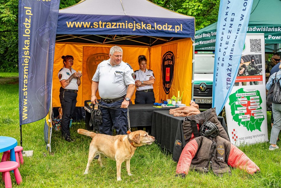 Łódź. Festiwal Rewolucja wystartował. Na początek piknik rodzinny w parku Julianowskim w Łodzi