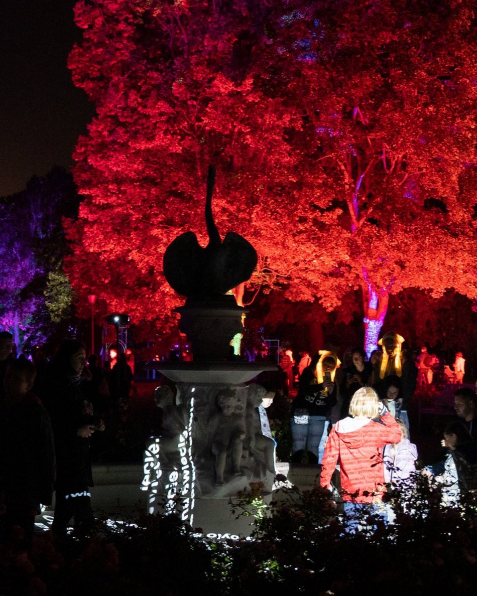 festiwal światła w łodzi