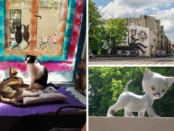 Łódź. Kocim szlakiem po Łodzi. TOP 6 najbardziej kocich miejsc w mieście