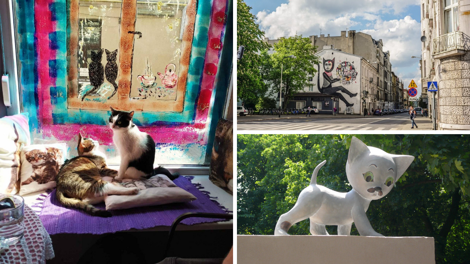 Łódź. Kocim szlakiem po Łodzi. TOP 6 najbardziej kocich miejsc w mieście