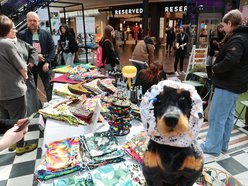 Łódź. Psi Targ w Manufakturze w Łodzi. Każdy miłośnik czworonogów znajdzie tu coś dla siebie