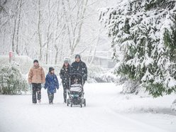Łódź. Orientarium Zoo Łódź z nominacją w plebiscycie „Zimowe Gwiazdy Travelist 2026”. Oddaj swój głos!