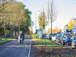 Łódź. Niemal 100 nowych drzew na Retkini w Łodzi. Już cieszą oczy mieszkańców
