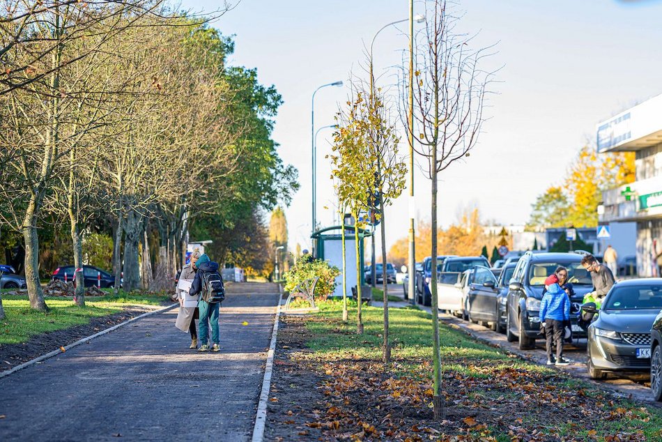 Łódź. Niemal 100 nowych drzew na Retkini w Łodzi. Już cieszą oczy mieszkańców