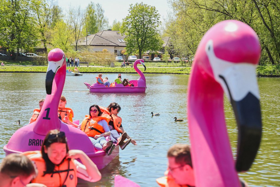Łódź. Dlaczego warto odwiedzić przystanie w Łodzi? Zniżki, flamingi, rowery wodne, grill i więcej