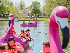 Łódź. Dlaczego warto odwiedzić przystanie w Łodzi? Zniżki, flamingi, rowery wodne, grill i więcej