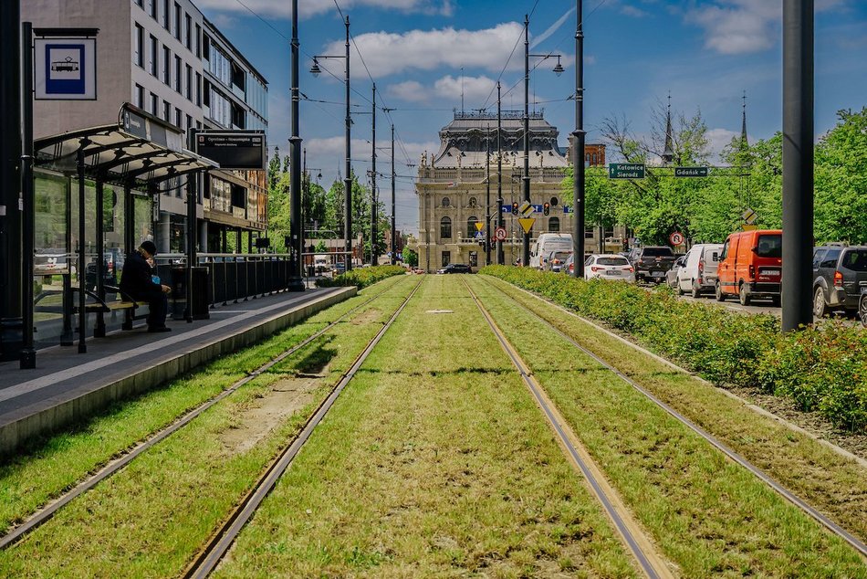 Łódź. Ponad 30 kilometrów najbardziej zielonych torowisk w Polsce? Oczywiście w Łodzi!