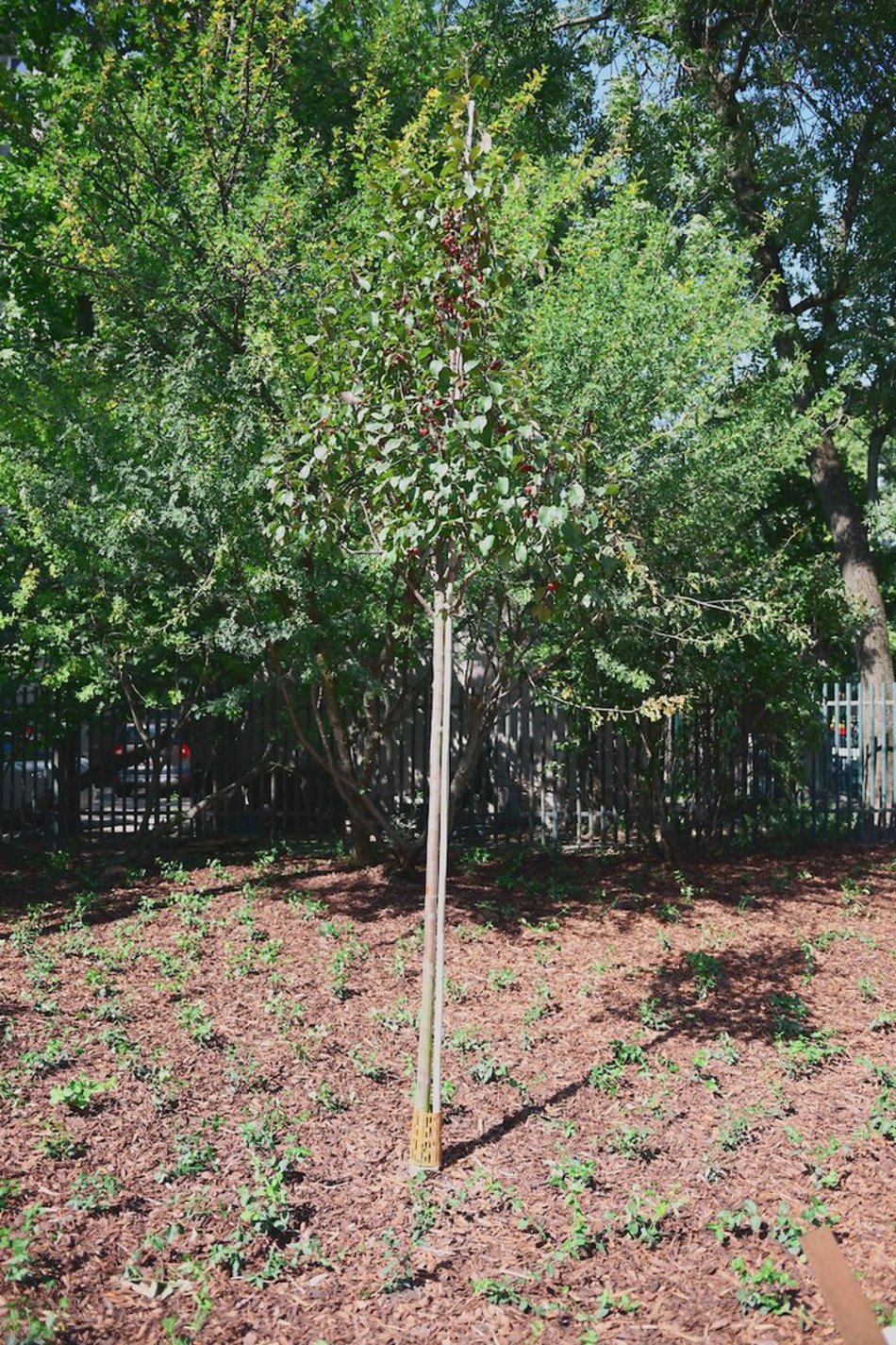 Łódź. Takiego skweru w Łodzi jeszcze nie było! Siłownia, park sensoryczny i plac zabaw już gotowe