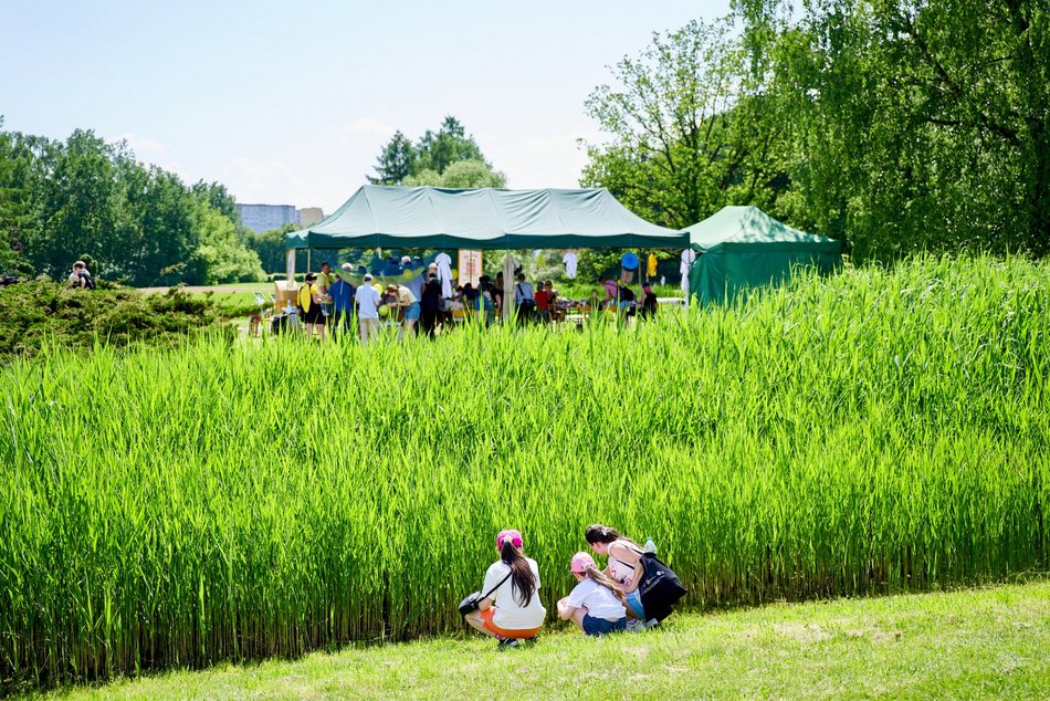 Majówka w Ogrodzie Botanicznym w Łodzi