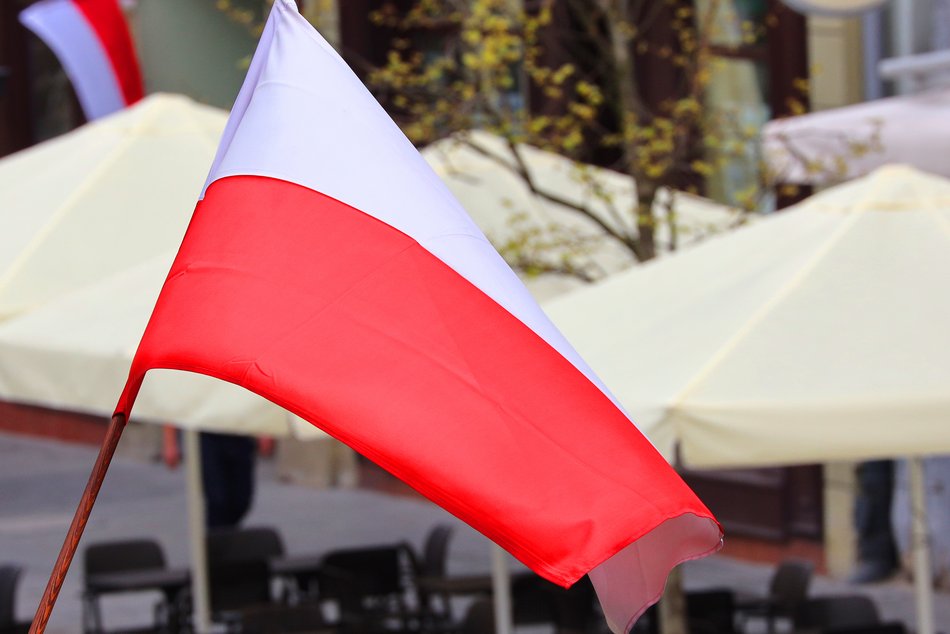 Dzień Flagi w Łodzi. Tłumy mieszkańców na Piotrkowskiej [ZDJĘCIA]
