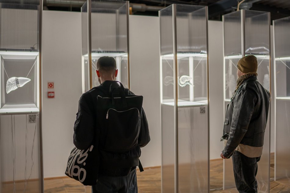 Łódź. PRIME TIME 2024. Wybrano najlepsze dyplomy Akademii Sztuk Pięknych w Łodzi