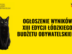 Łódź. Budżet Obywatelski Łódź 2026. Znamy wyniki! Sprawdź, czy twój projekt wygrał głosowanie!